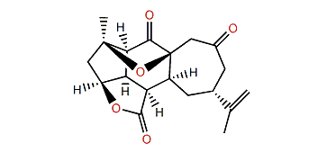 Sinulochmodin C